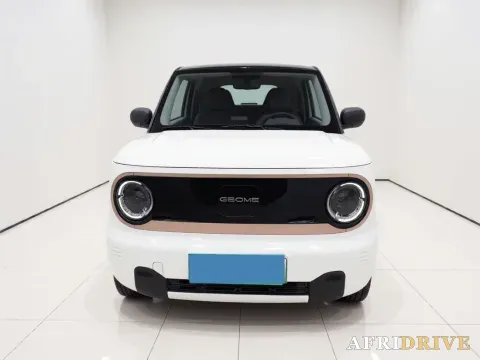 2023 Geely Galaxy Panda 2