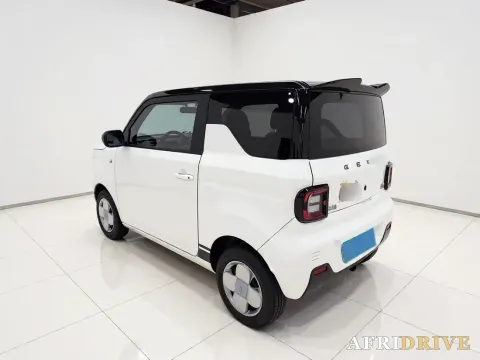 2023 Geely Galaxy Panda 4