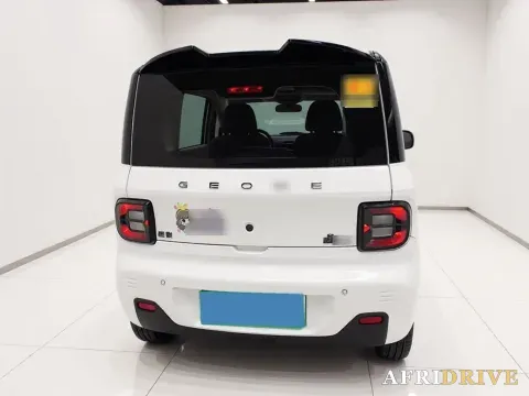 2023 Geely Galaxy Panda 5
