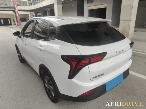 2021 Neta V 4