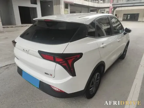 2021 Neta V 6