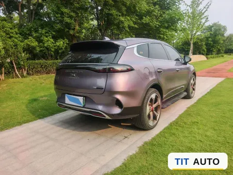 2020 Denza X 5