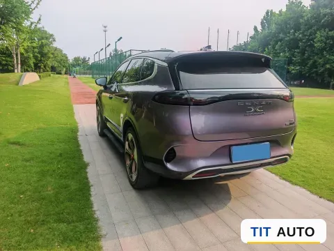 2020 Denza X 6