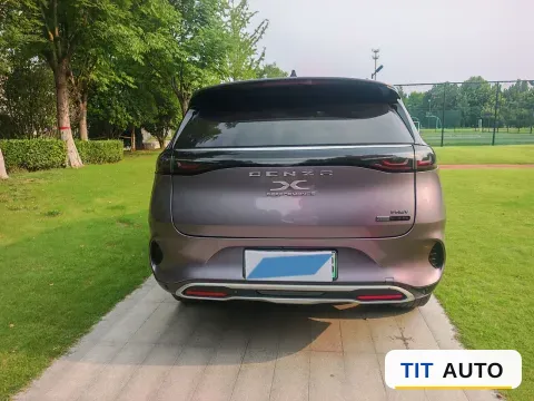2020 Denza X 7
