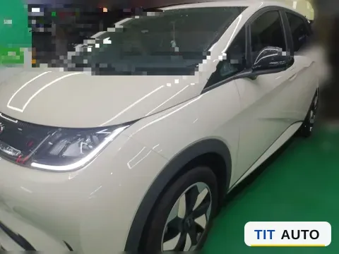 2025 BYD Dolphin