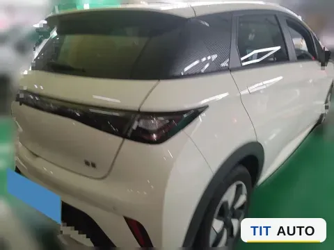 2025 BYD Dolphin 4