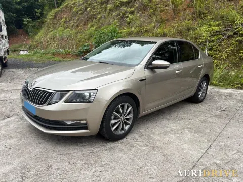 2019 Skoda Octavia