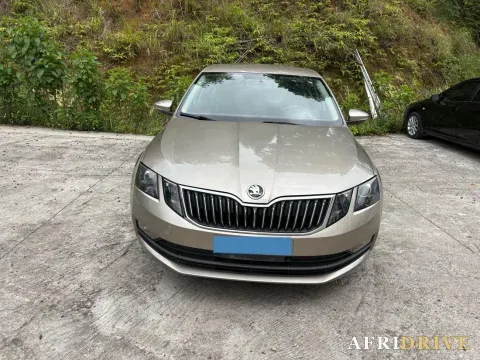 2019 Skoda Octavia 2