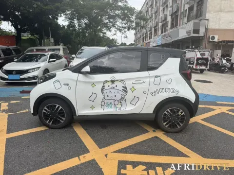 2022 CheryQQ Little Ant 3