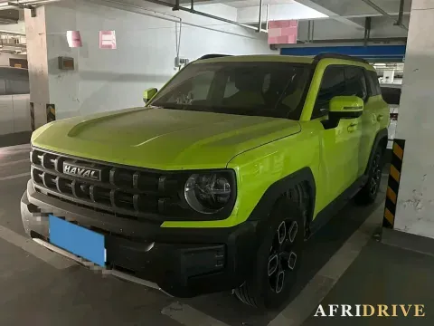 2022 Haval X Dog