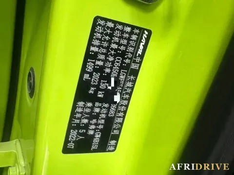 2022 Haval X Dog 5