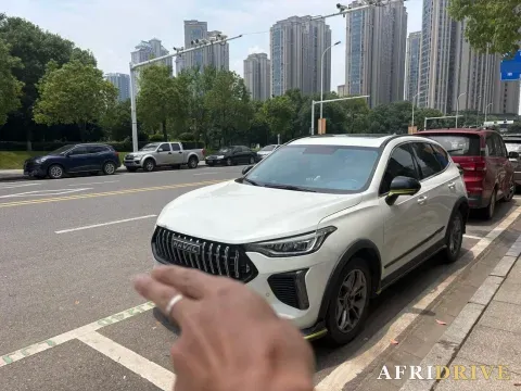 2022 Haval Rabbit