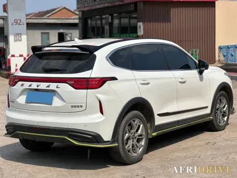 2022 Haval Rabbit 4