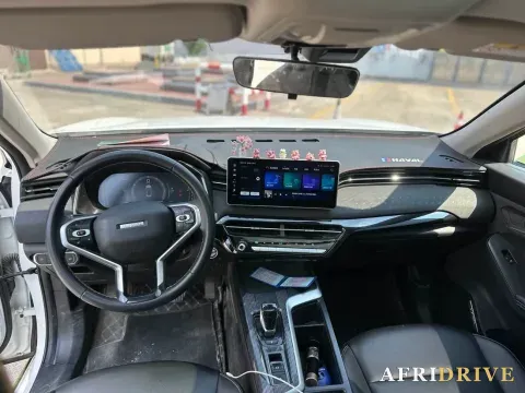 2022 Haval Rabbit 6