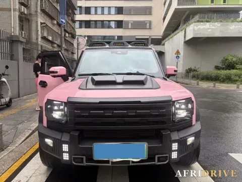 2024 Jetour ShanHai TravellerC-DM 2