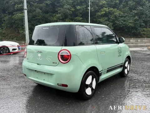 2022 Levdeo Mango 4