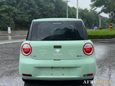 2022 Levdeo Mango 5