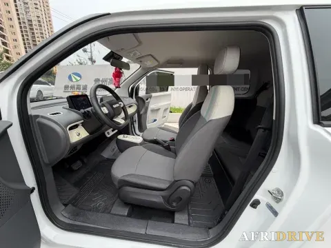 2022 Levdeo Mango 8