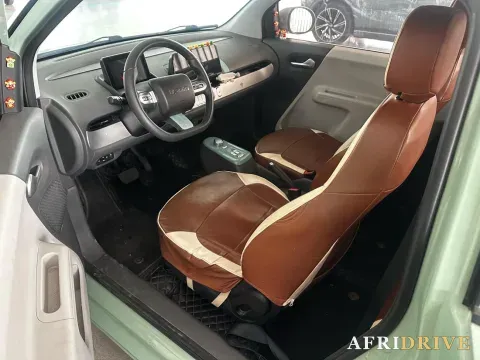 2022 Levdeo Mango 2