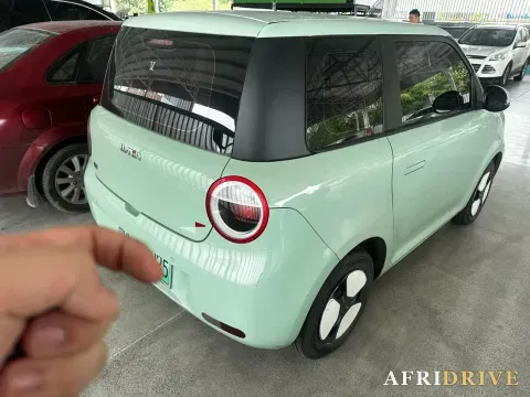 2022 Levdeo Mango 5