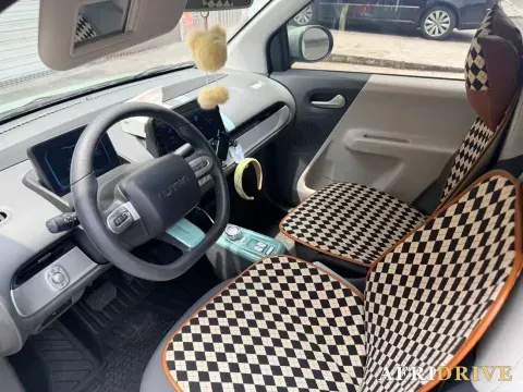 2022 Levdeo Mango 3