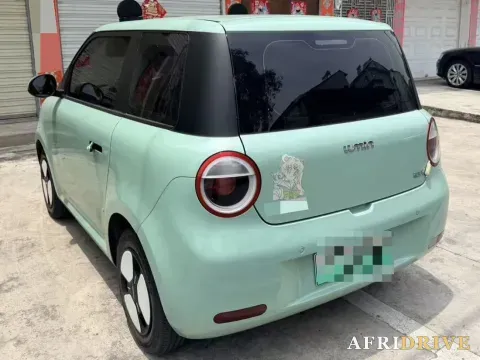 2022 Levdeo Mango 4