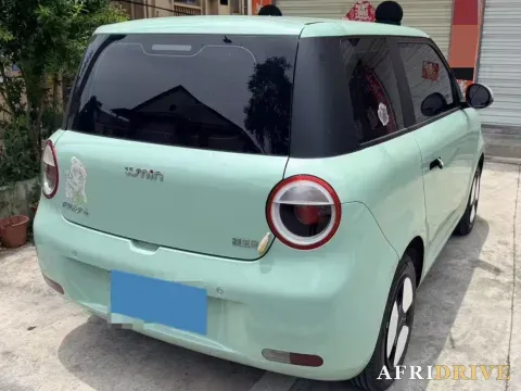 2022 Levdeo Mango 5