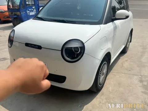 2022 Levdeo Mango