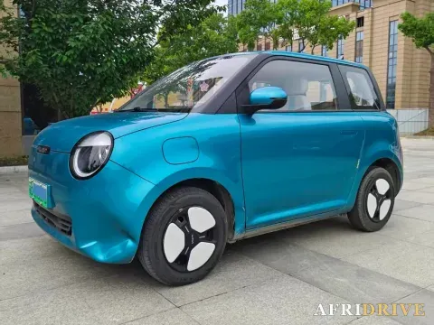2022 Levdeo Mango