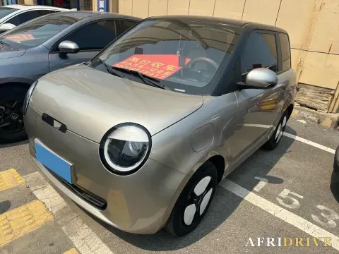 2022 Levdeo Mango