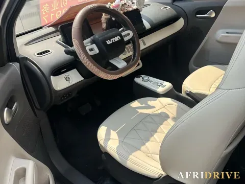2022 Levdeo Mango 2
