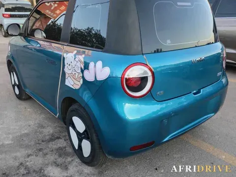 2022 Levdeo Mango 4