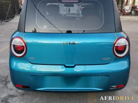 2022 Levdeo Mango 5