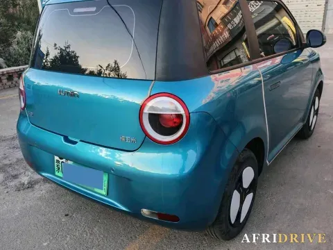 2022 Levdeo Mango 6