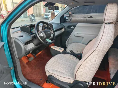 2022 Levdeo Mango 8