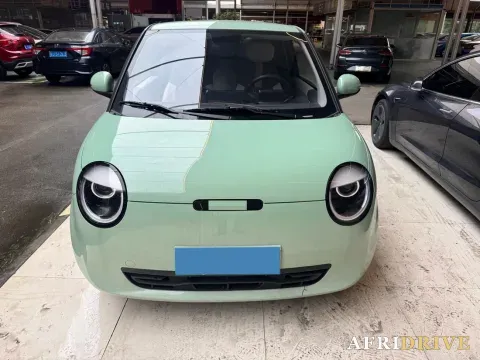 2022 Levdeo Mango 2