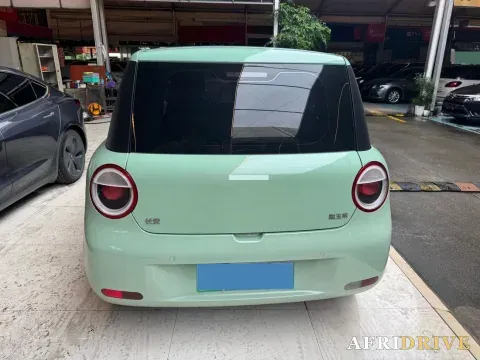 2022 Levdeo Mango 4