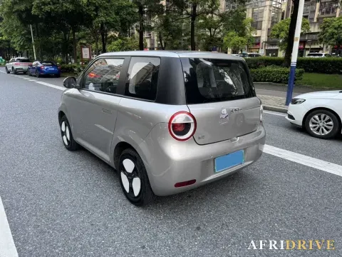 2022 Levdeo Mango 4
