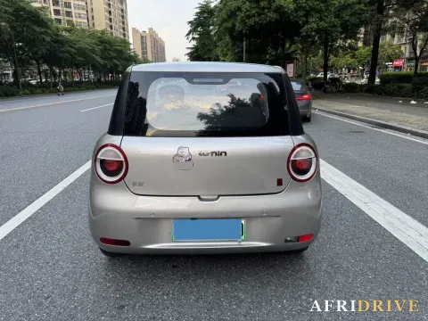 2022 Levdeo Mango 5