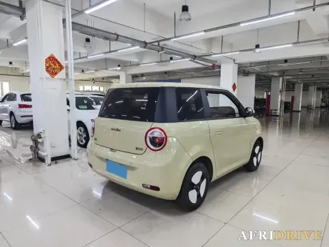 2022 Levdeo Mango 4