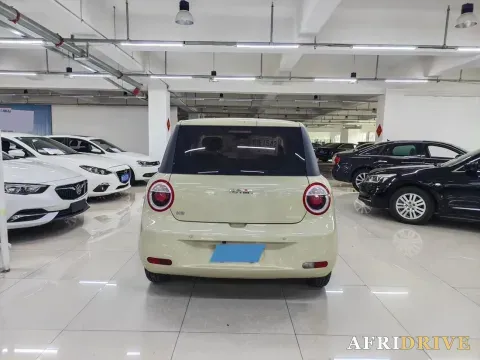 2022 Levdeo Mango 5