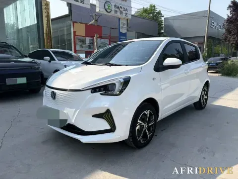 2022 ChangAn BenBen E-Star