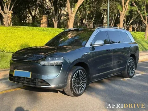 2024 AITO AITO M9