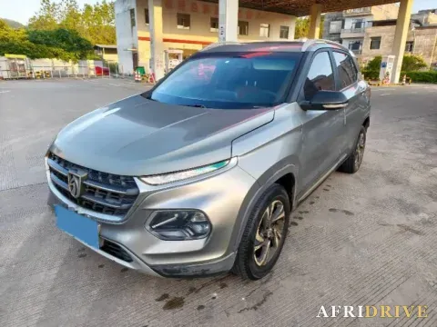 2019 BaoJun 510