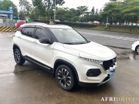 2019 BaoJun 510 2