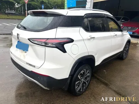 2019 BaoJun 510 3