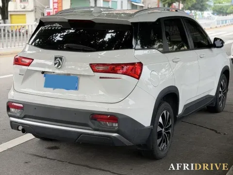 2020 BaoJun 530 4