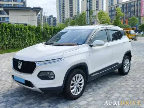 2019 BaoJun 510