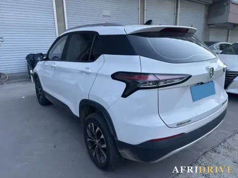 2019 BaoJun 510 2