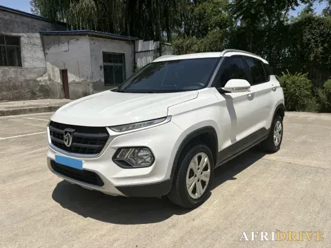 2019 BaoJun 510